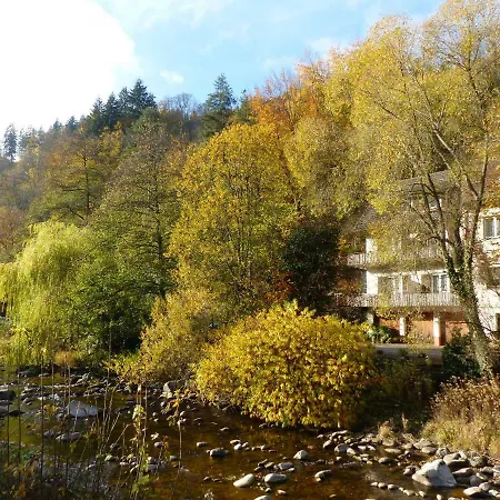 Gasthuis Adieu Alltag: Oesterle Im Schwarzwald