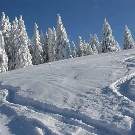 Adieu Alltag: Oesterle Im Schwarzwald