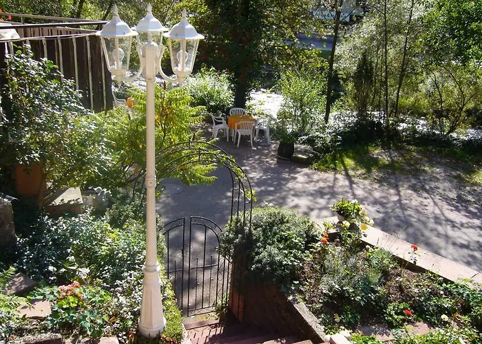 Adieu Alltag: Oesterle Im Schwarzwald