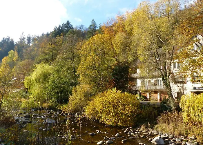 בית הארחה Adieu Alltag: Oesterle Im Schwarzwald