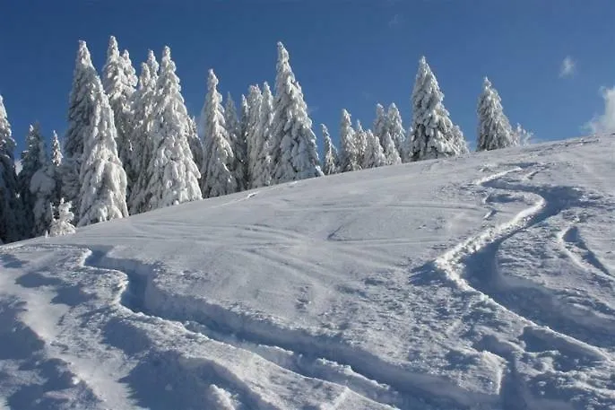 Adieu Alltag: Oesterle Im Schwarzwald